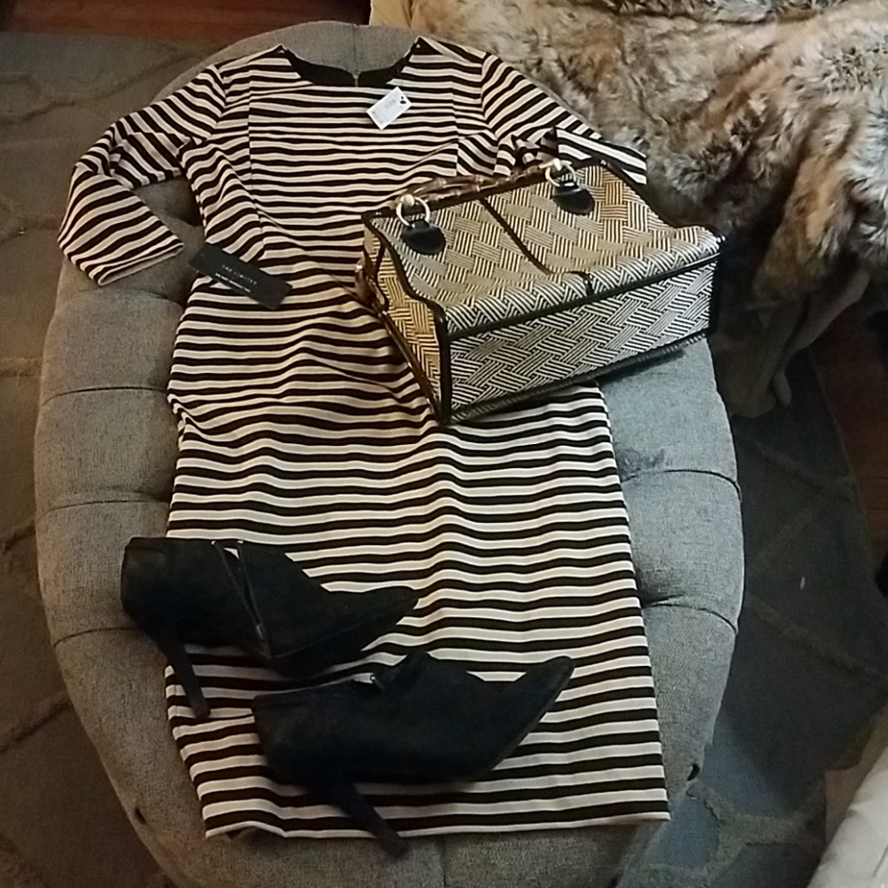 New with tags striped Sheath dress by the Limited